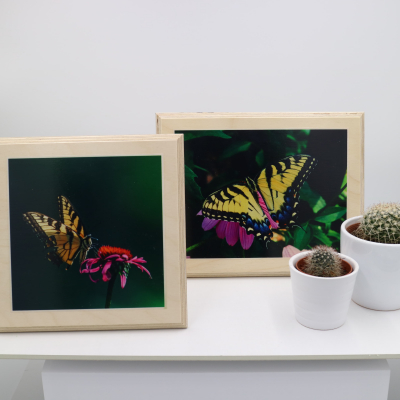 Víte, jak na tisk velkoformátových fotografií?