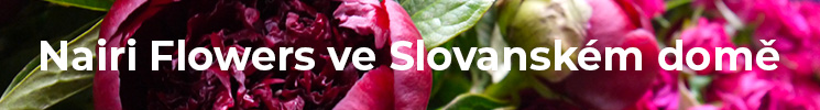 745x100 Nairi