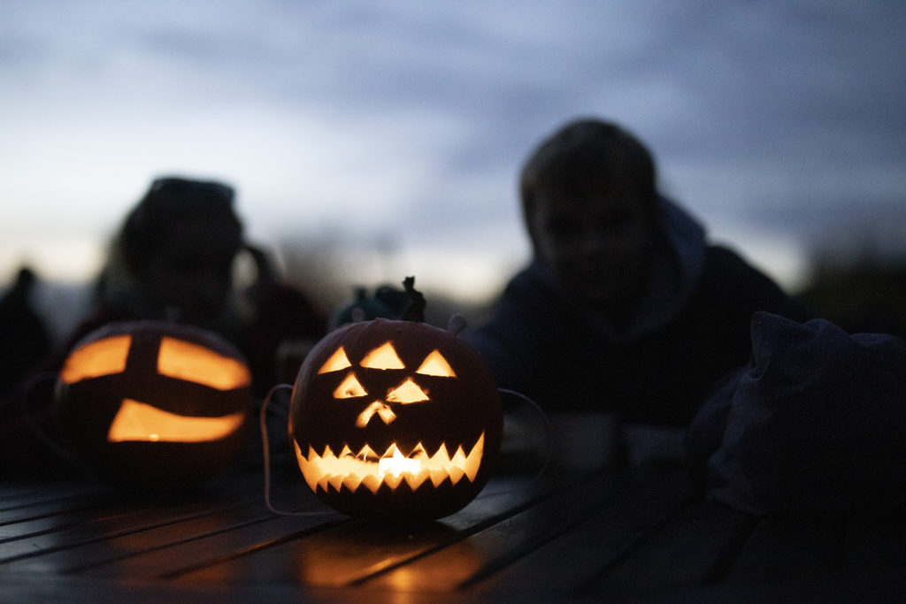 Dýňový podzim v botanické zahradě v Troji bude barevný jako Mexiko