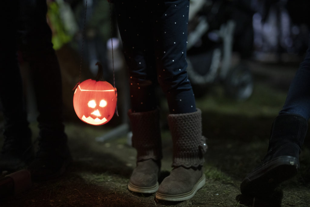 Dýňový podzim v botanické zahradě v Troji bude barevný jako Mexiko