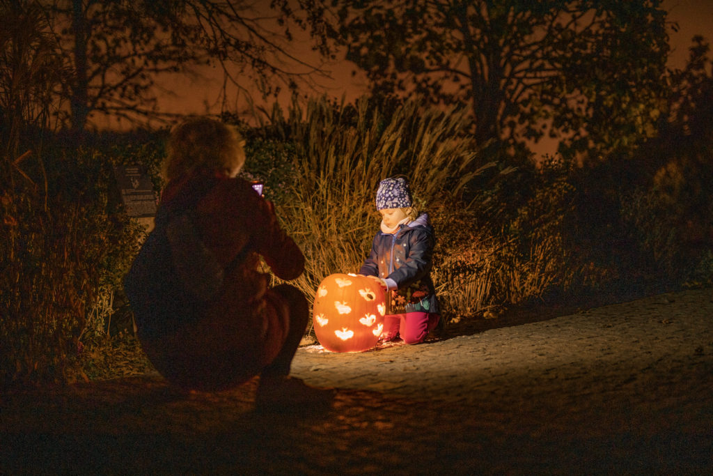 Dýňový podzim v botanické zahradě v Troji bude barevný jako Mexiko